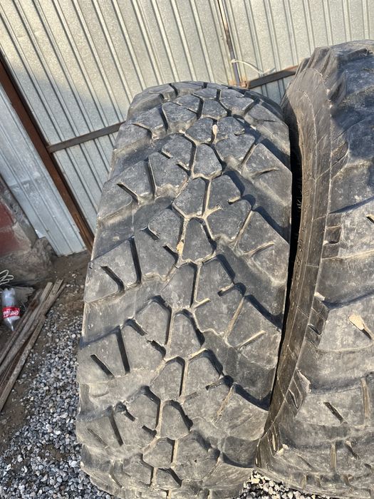 Шина сатыладыыыыы