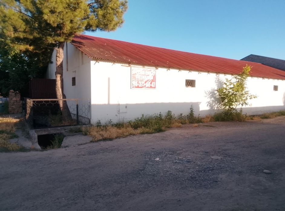 Ferma xolovchilar uchun yer koriniwida ham sotiladi
