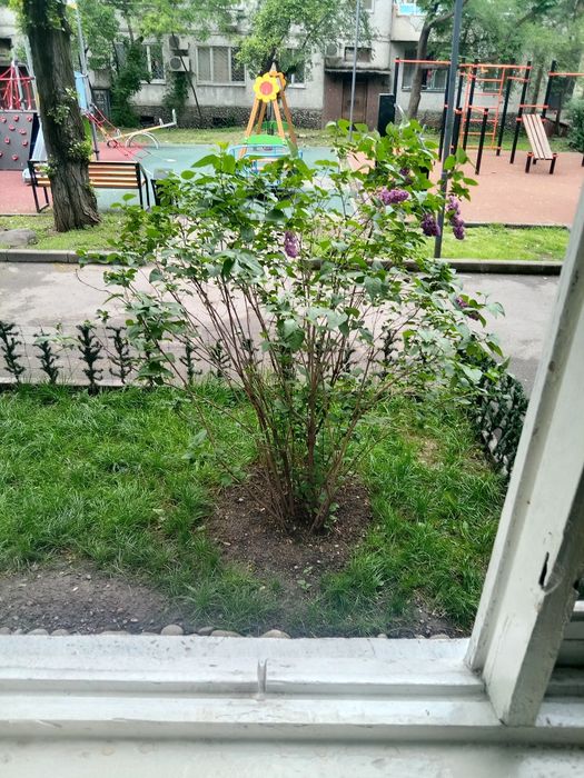 Продам квартиру в центре города,
