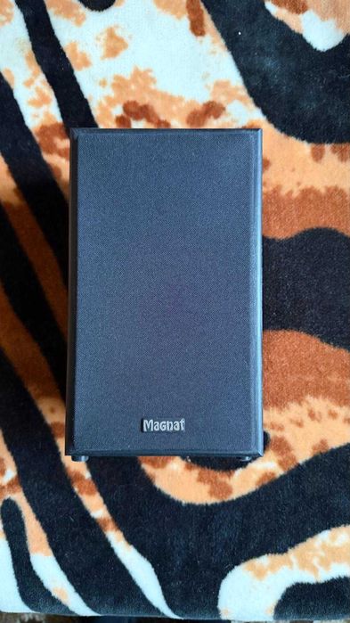 Boxe Magnat Monitor S10 D