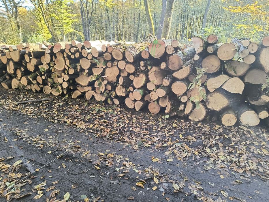 Vand lemne de foc esenta tare carpen si stejar