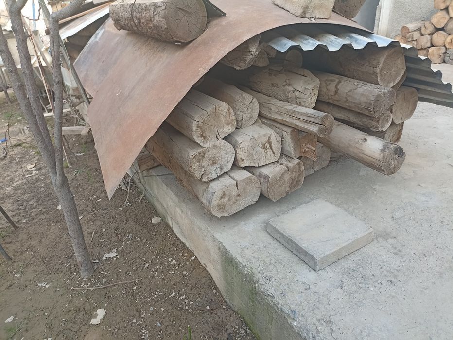 Болол сотилади срочно Самарканд шахар