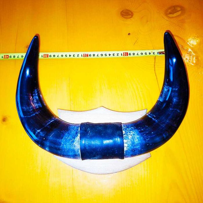 Декорация от рога на воден бивол