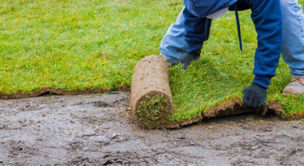 Газон егеміз Автополив
