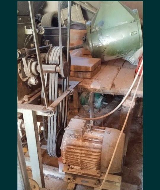 Xoroz sotiladi 30 lik