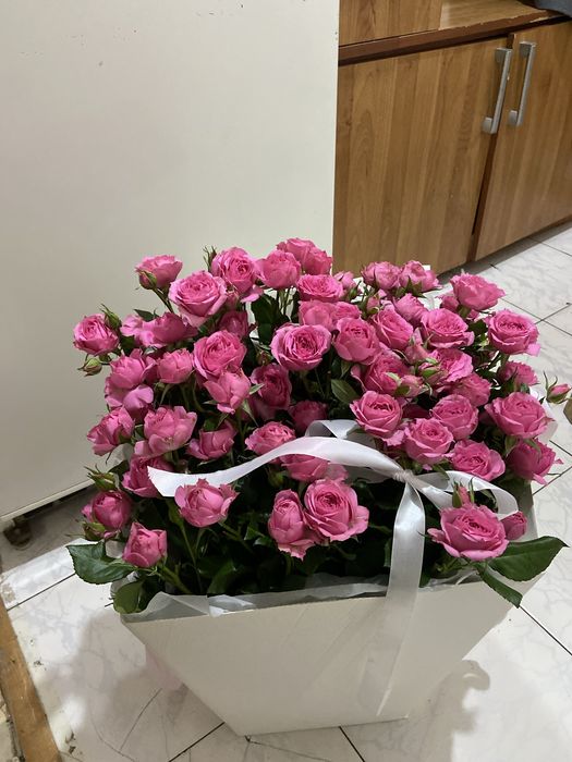 Цветы Новые  сегодняшние