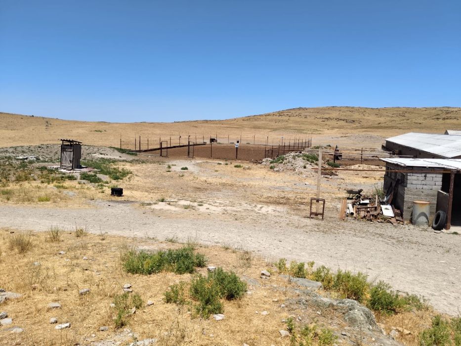 Фазенда сатылады мал шаруашылығына арналған