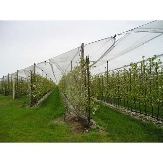 Мрежа срещу градушка по размер - Промоция - 0.36 лв. за кв. м. !