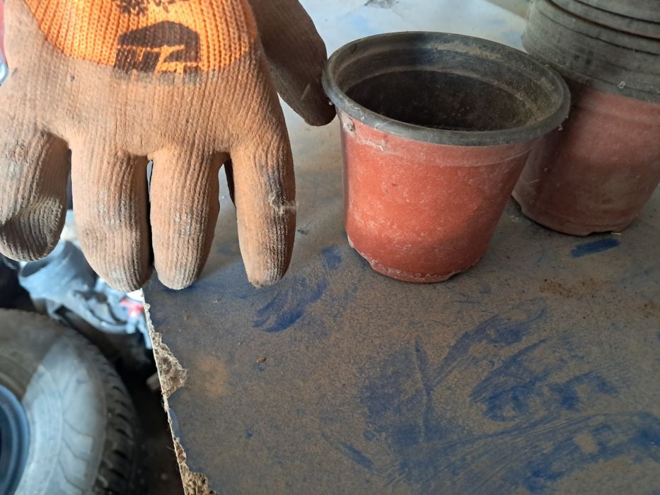 Стаканчики для рассады