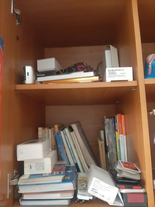 Шкаф для одежды и книг (чистый ламинат)