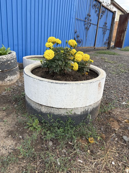 Продам бетонное кольцо для клумб