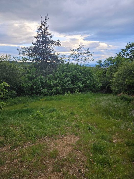 Продава се Парцел в с. Мърчаево, Област София-град - 680 кв.м за 38 €/кв.м - Снимка #5