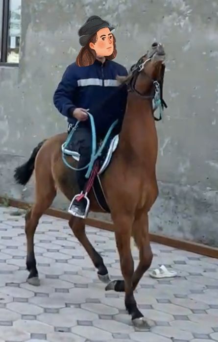 Минги ири тай сатылады