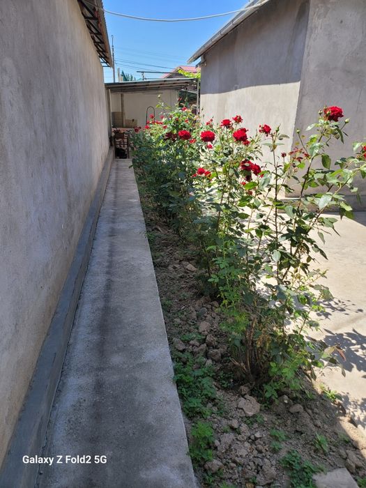 Обмен или Продаётся дом в Чирчике