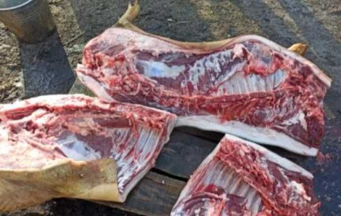 Продам мясо свинины