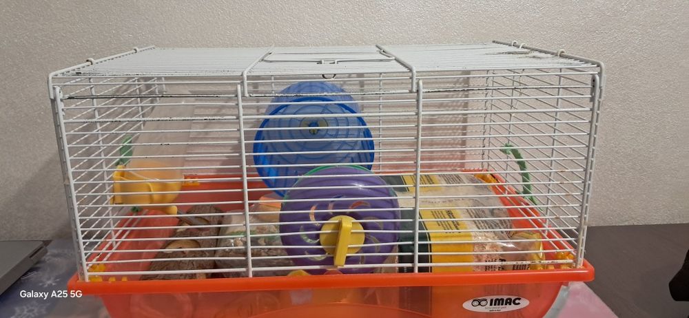 Cusca hamsteri si mancare