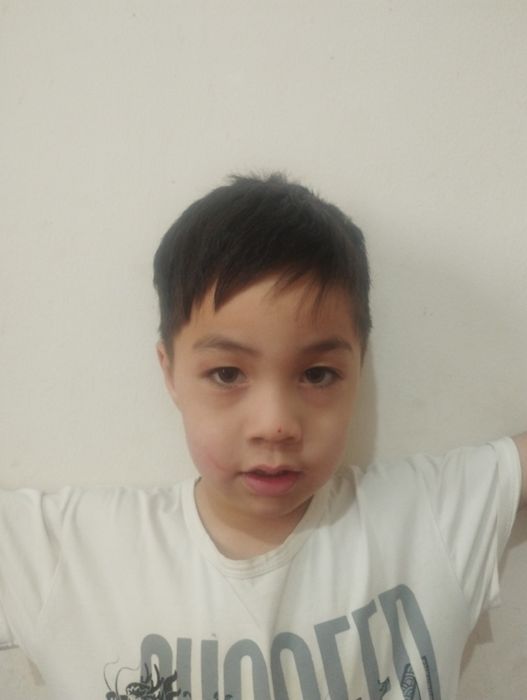 Tozalik ishlari va uborka ishlari