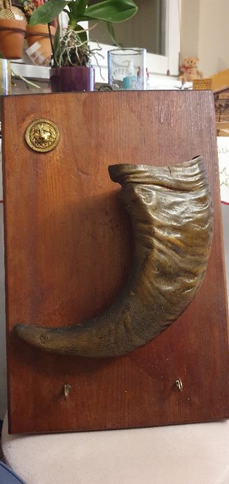 Suport corn de bivol