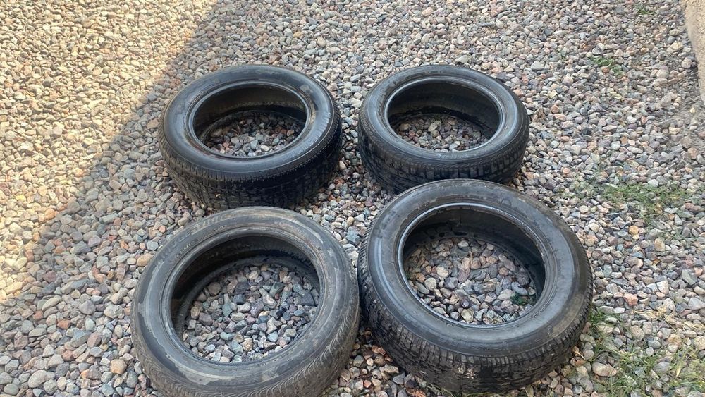 Жаздык донгелектер