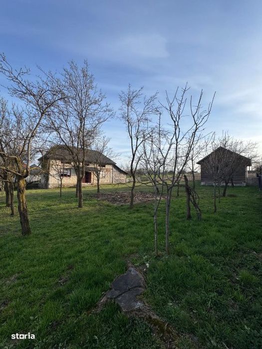 Casa Asuaju de Sus, 47 ari teren, investitie, necesita renovare