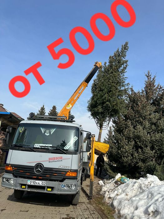 Услуги манипулятора