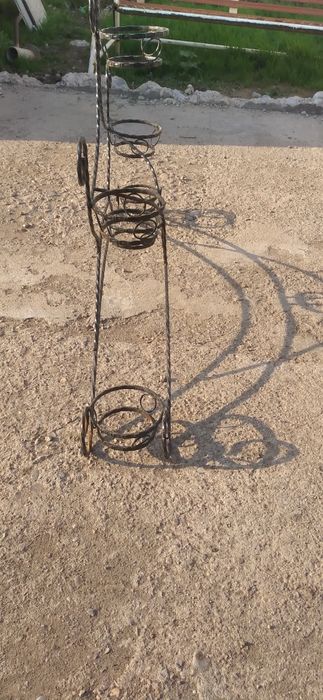 Падцеточник гул қоятын