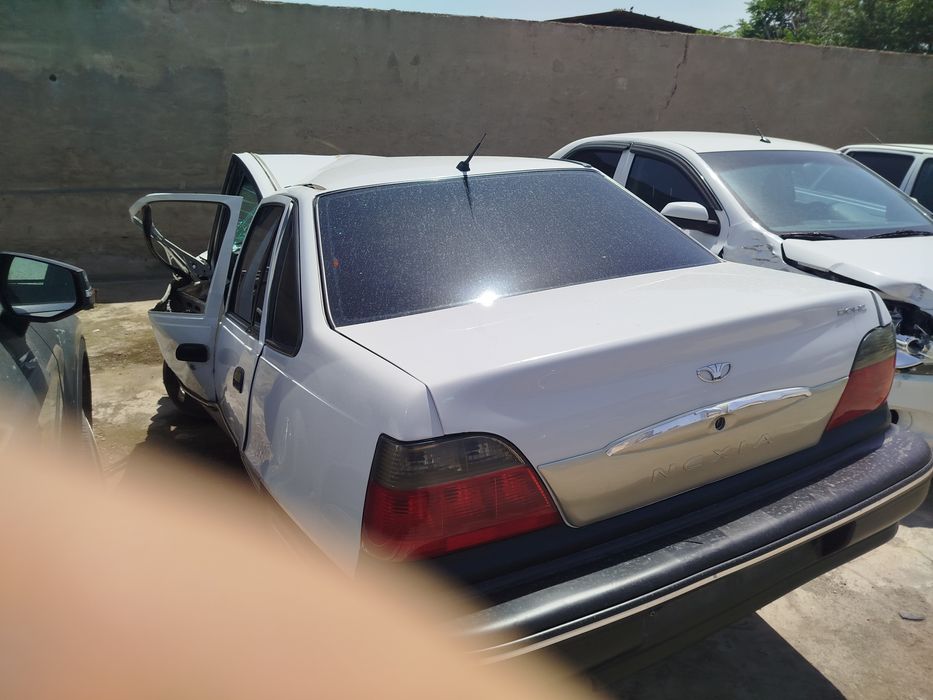 Аврийний нексия1