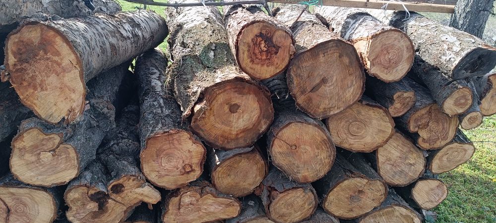 Дърва за огрев от Синя слива