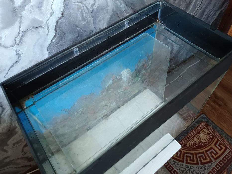Продам аквариум срочно