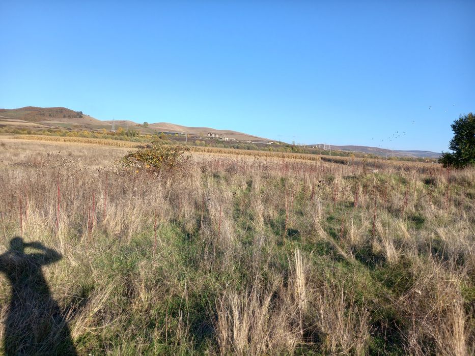 Teren intravilan cu acte la zi