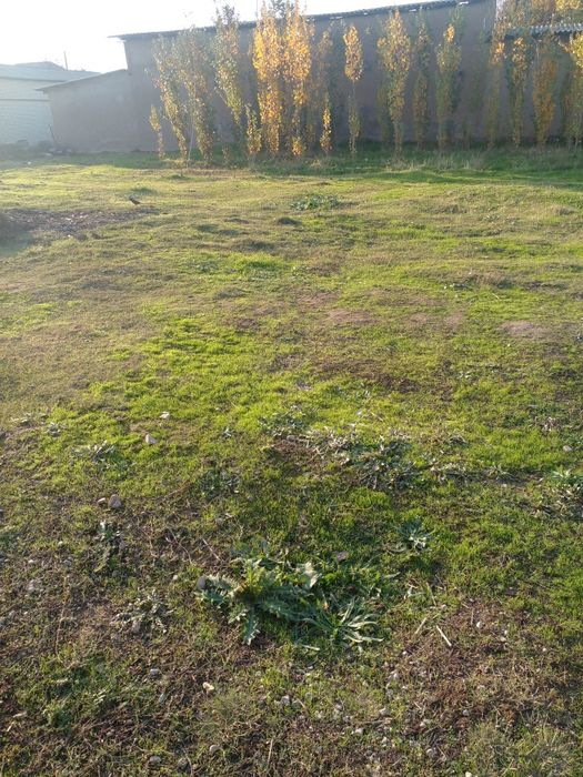 Курук ер сотилади 6 сотих