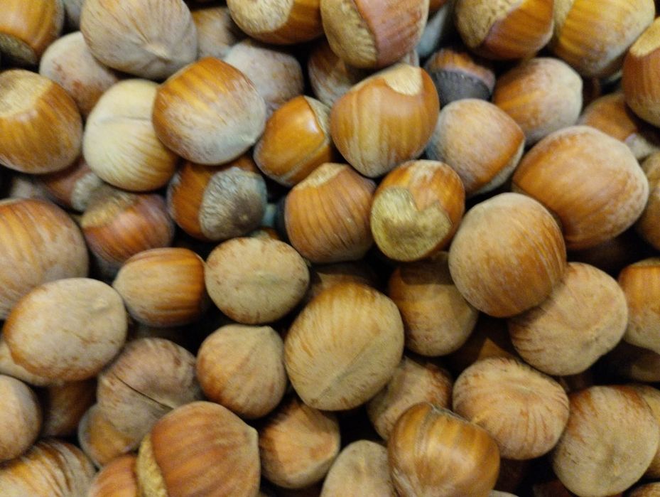 Пчелен Мед  и лешници