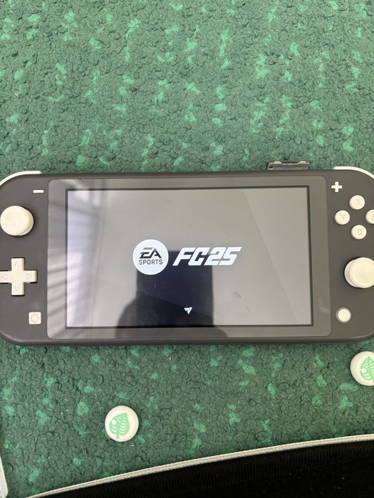 Nintendo switch lite tmr с проблем