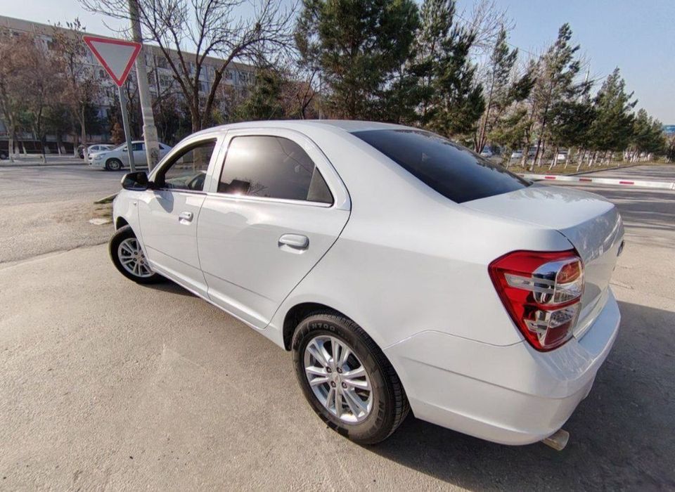 Cobalt 2025 radnoy stayl