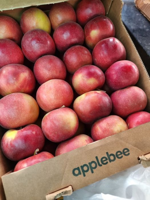 Яблоки с Тургена