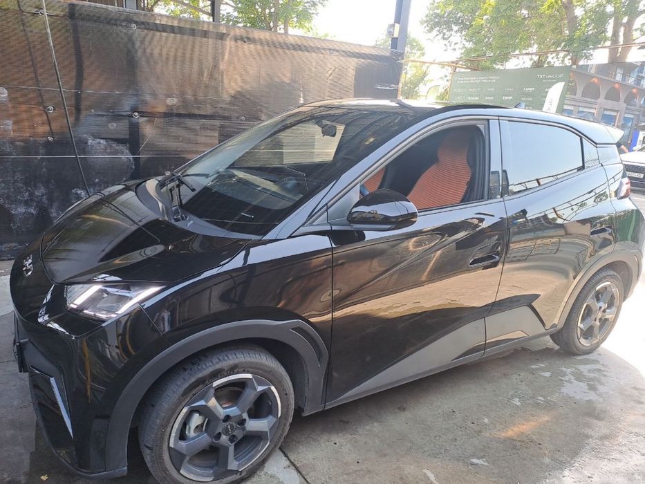 Byd Seagull 2024