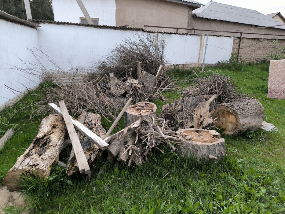 Отын дрова шыбык