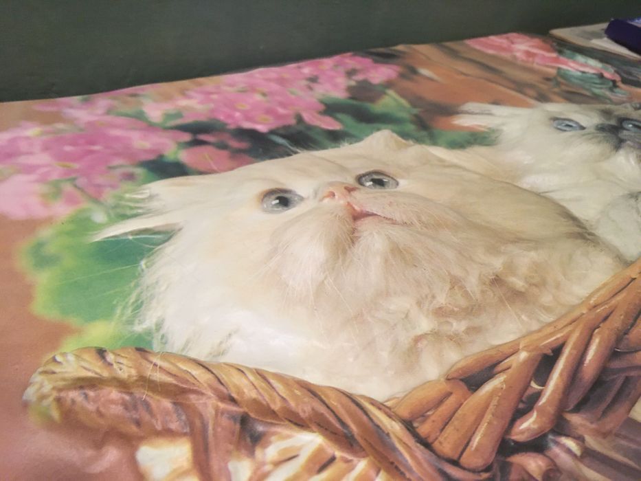 Плакат с котятами СССР