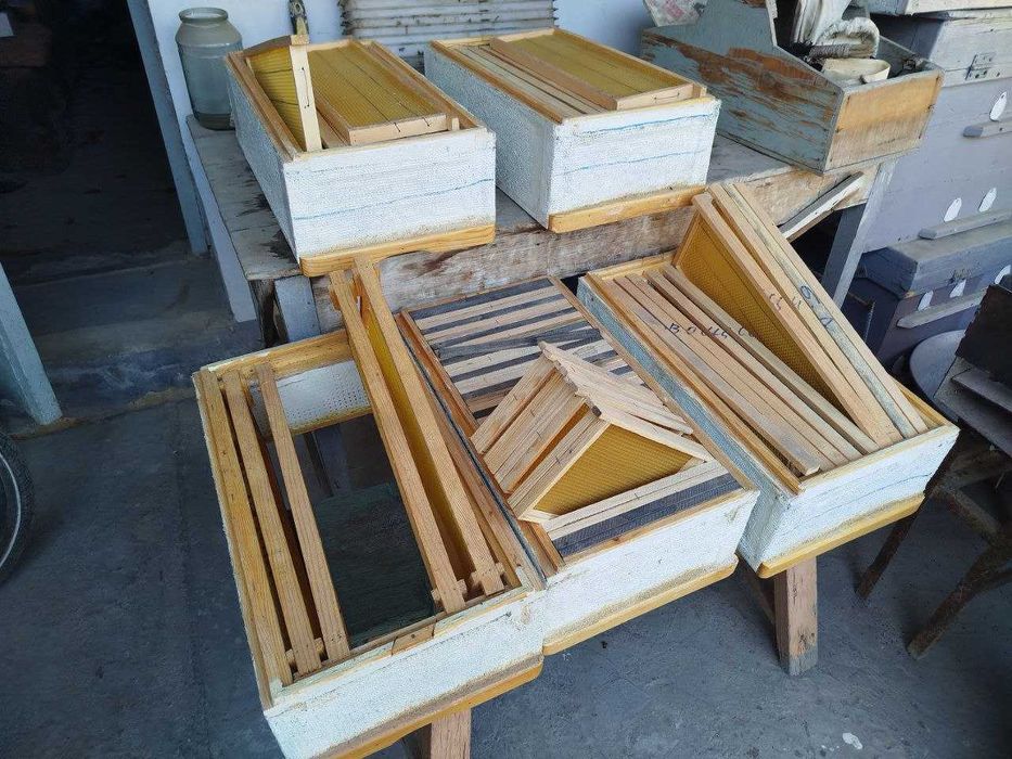 Продаются ящики для пчёл с рамками.  Асал арилар учун ящик сотилади.