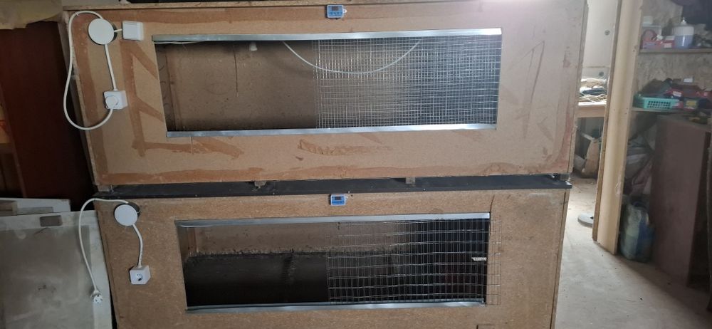 Продам брудер срочно