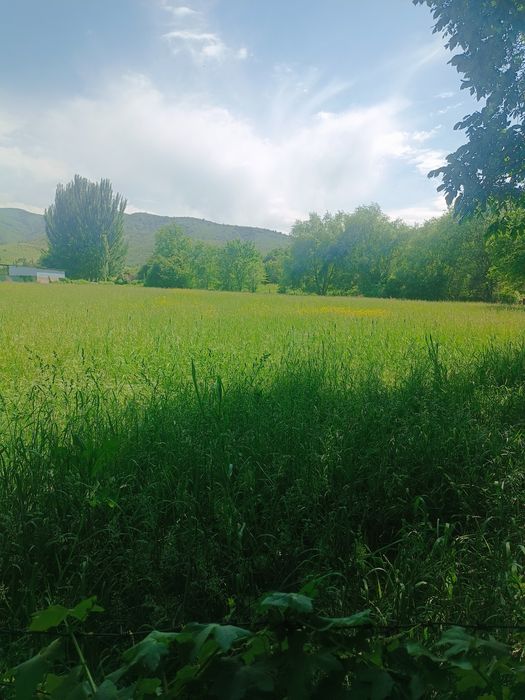 Продам 30 соток землю .