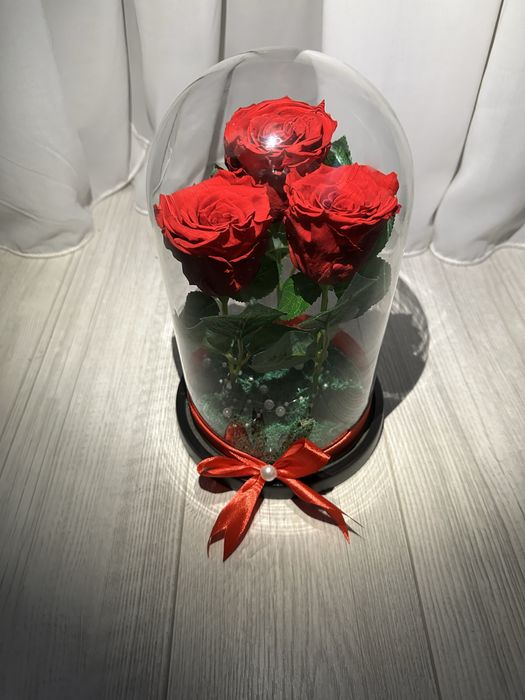 Cupola cu 3 trandafiri criogenati