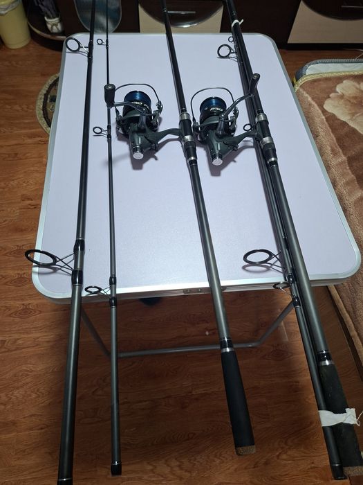 Lansete pescuit crap.