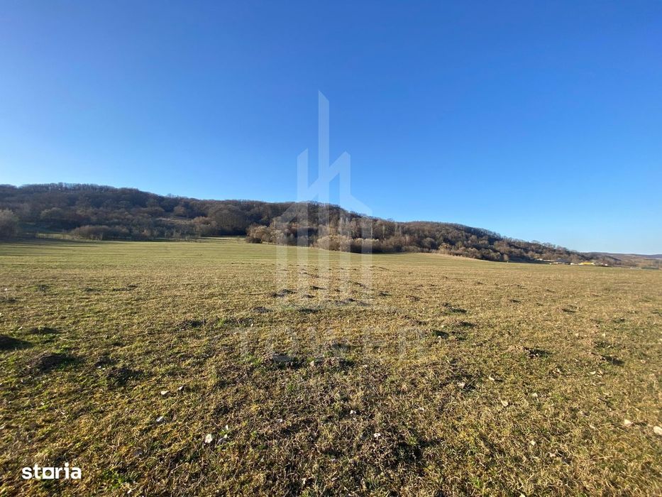 Teren de 7.500 mp de vânzare în Bradu, Avrig-COMISION 0% – lângă râul