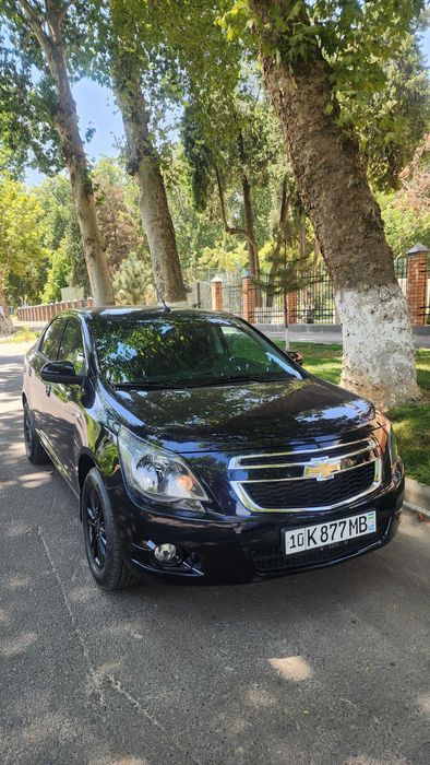 Cobalt midnight 2025