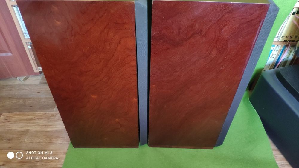 Акустика Otto SX-P2