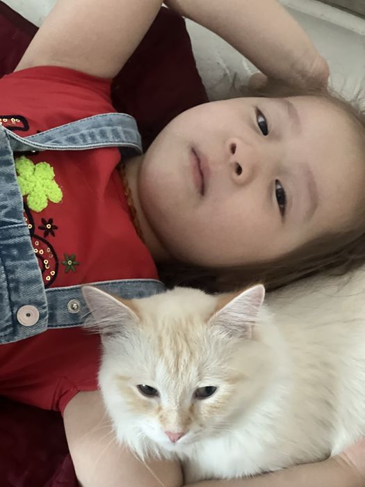 3 ком квартира Заречное