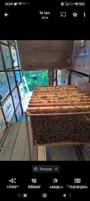 Vînd camion Mercedes atego an 1997 cu lift  și cameră extracție  64 la