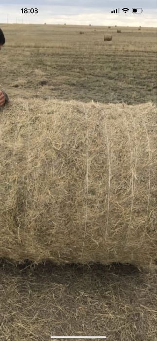 Сено рулонами с доставкой