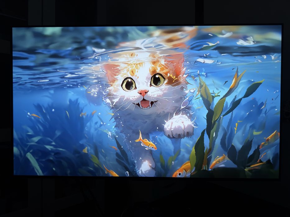 LG C2 42”, OLED, 120Hz